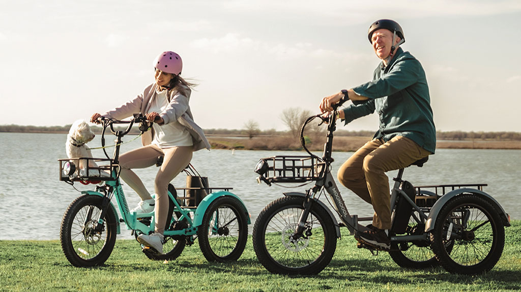 MOONCOOL Electric Tricycle for Adults - Folding Electric Trike - Aluminum Frame 3-Wheel Electric Bicycle with Large Basket