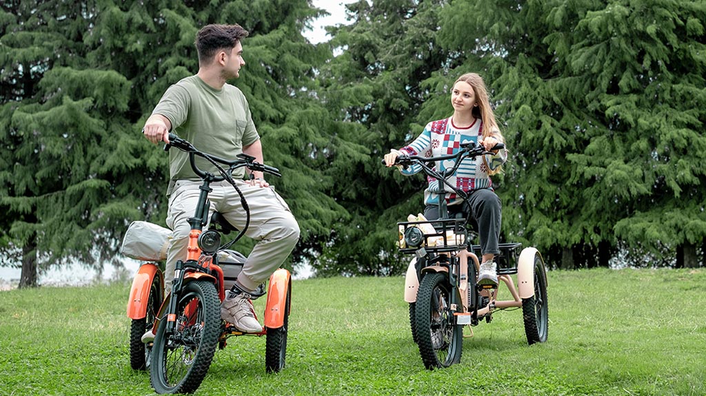 MOONCOOL Electric Tricycle for Adults - Folding Electric Trike - Aluminum Frame 3-Wheel Electric Bicycle