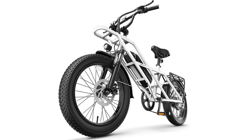 1500w peak 20 fatbike