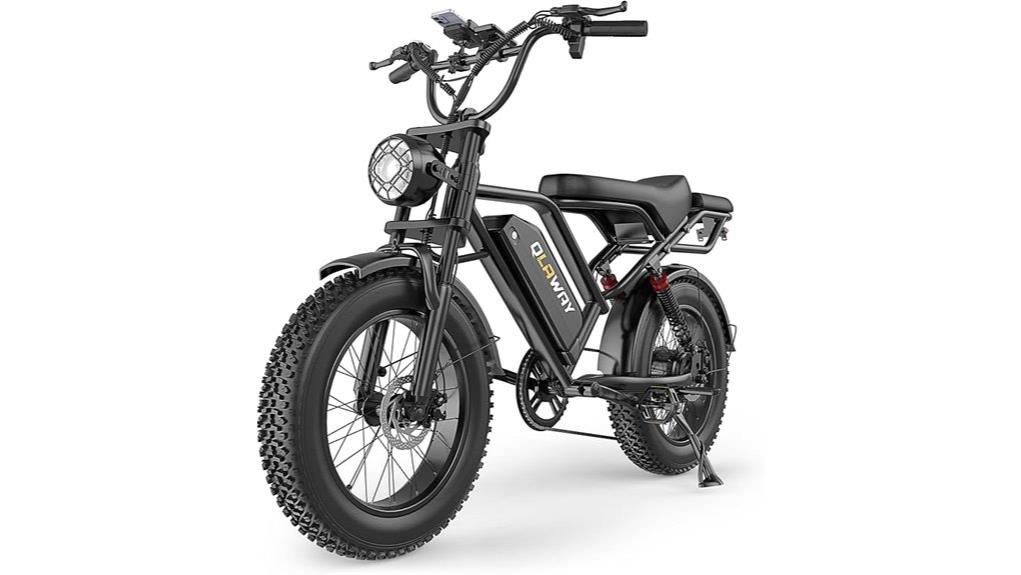 2024 qlaway bk20 fat tire