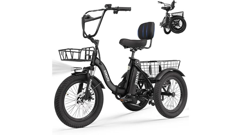 adults electric trike bike