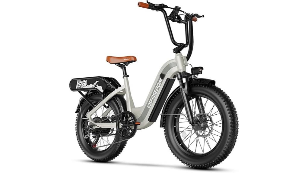 high power 1500w e bike