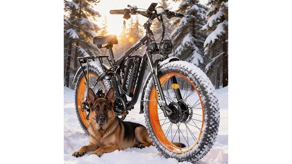 high power dual motor ebike