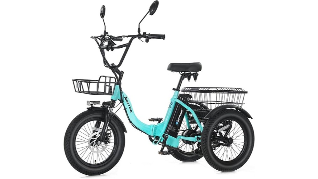 narrak fat tire electric tricycle