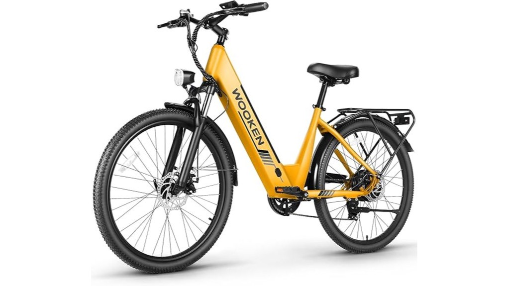 wooken adult electric bike